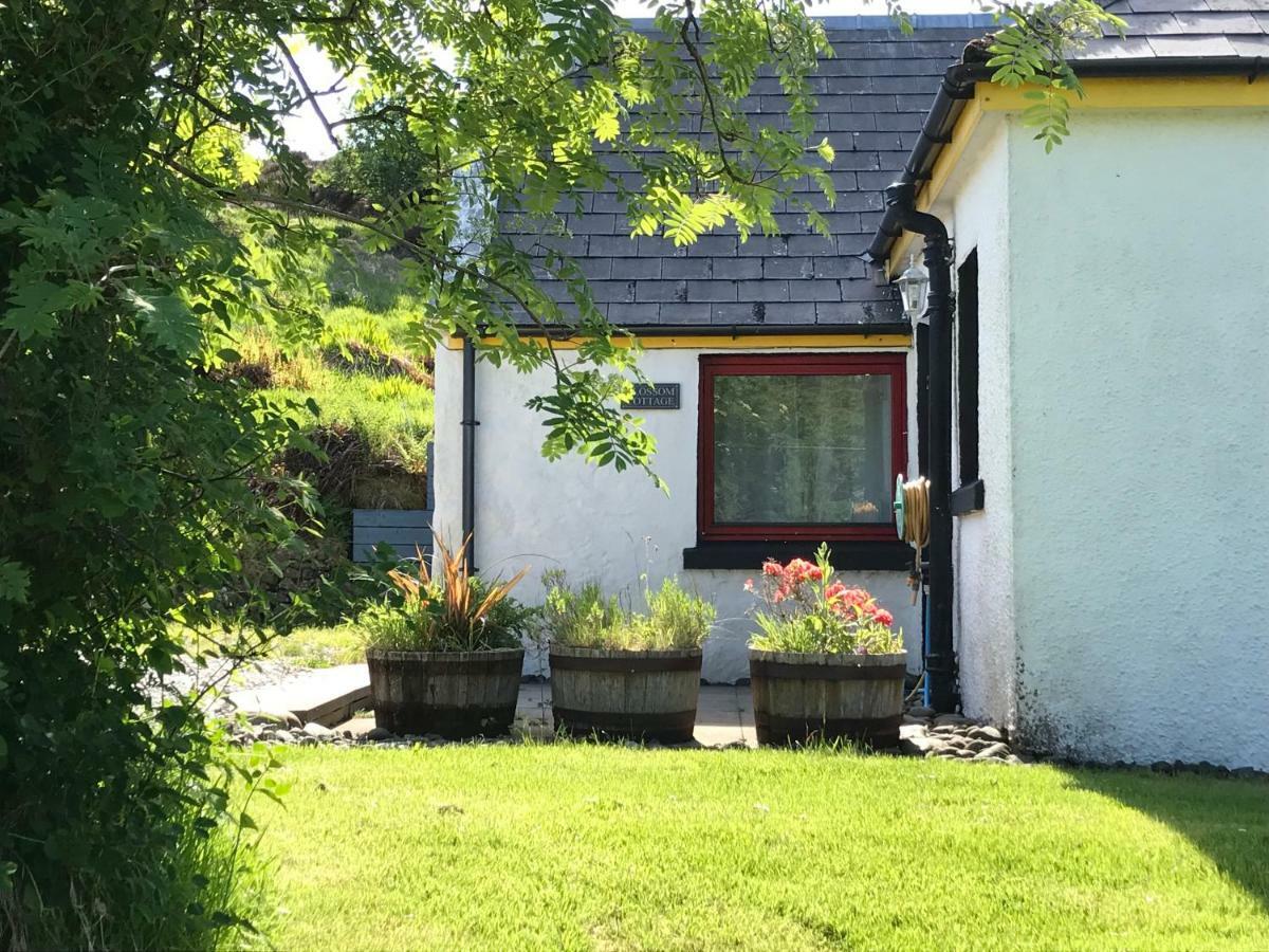 Blossom Cottage Lonmore Exterior photo